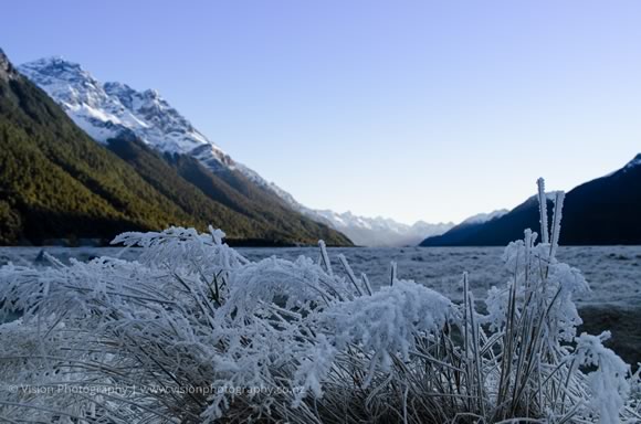 fiordland wellington photographer